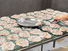 건조 및 가공 시설2